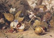 Elizabeth Byrne Still-life with horse chestnuts and insects (mk47) Sweden oil painting artist